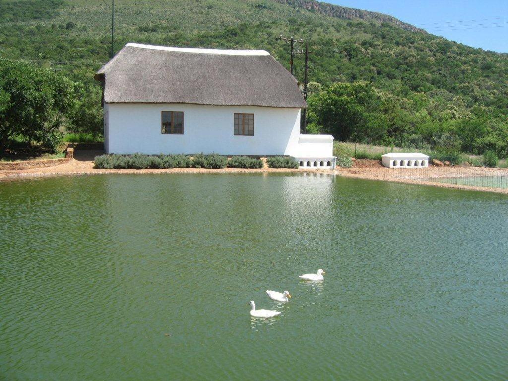 Steynshoop Self-Catering Valley Lodge Hekpoort 외부 사진